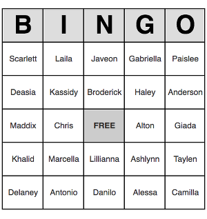 bingo card generator for names